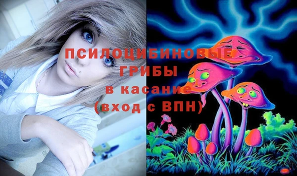 дмт Чекалин