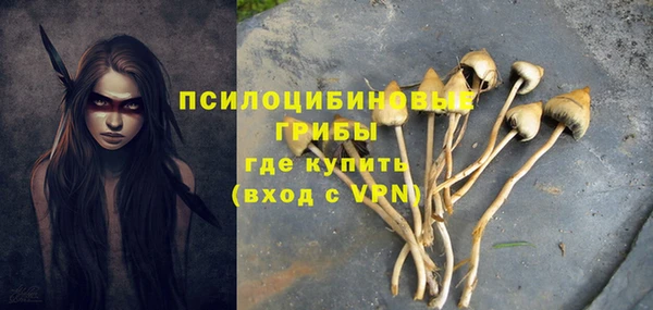 дмт Чекалин